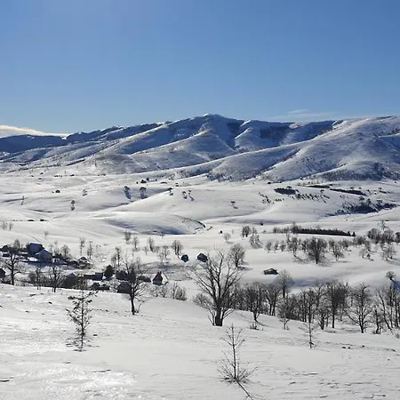 Nadezda *