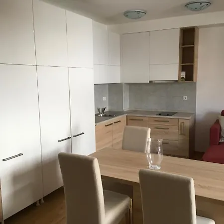 Apartment Nadezda Zlatibor