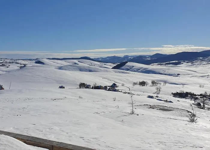 Nadezda 즐라티보