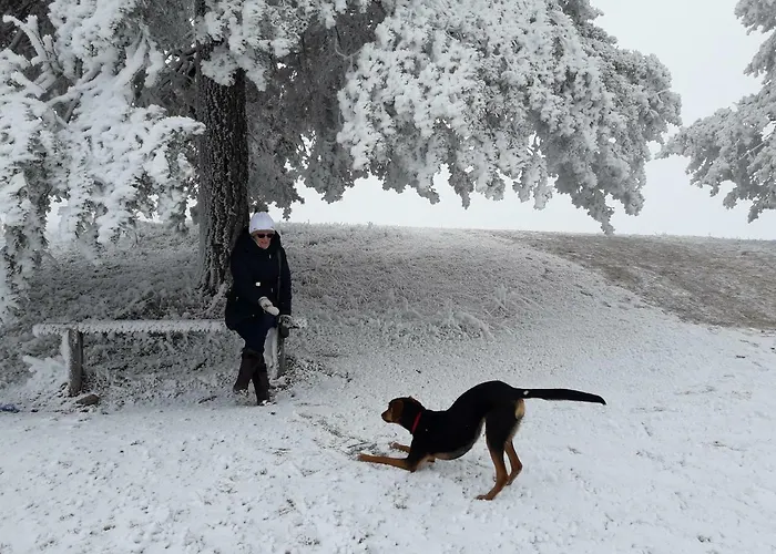 Nadezda * 즐라티보